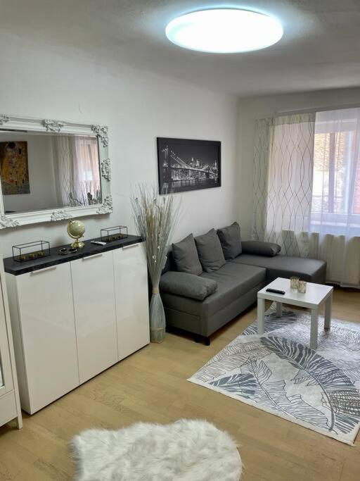 Milena Apartment Graz Buitenkant foto